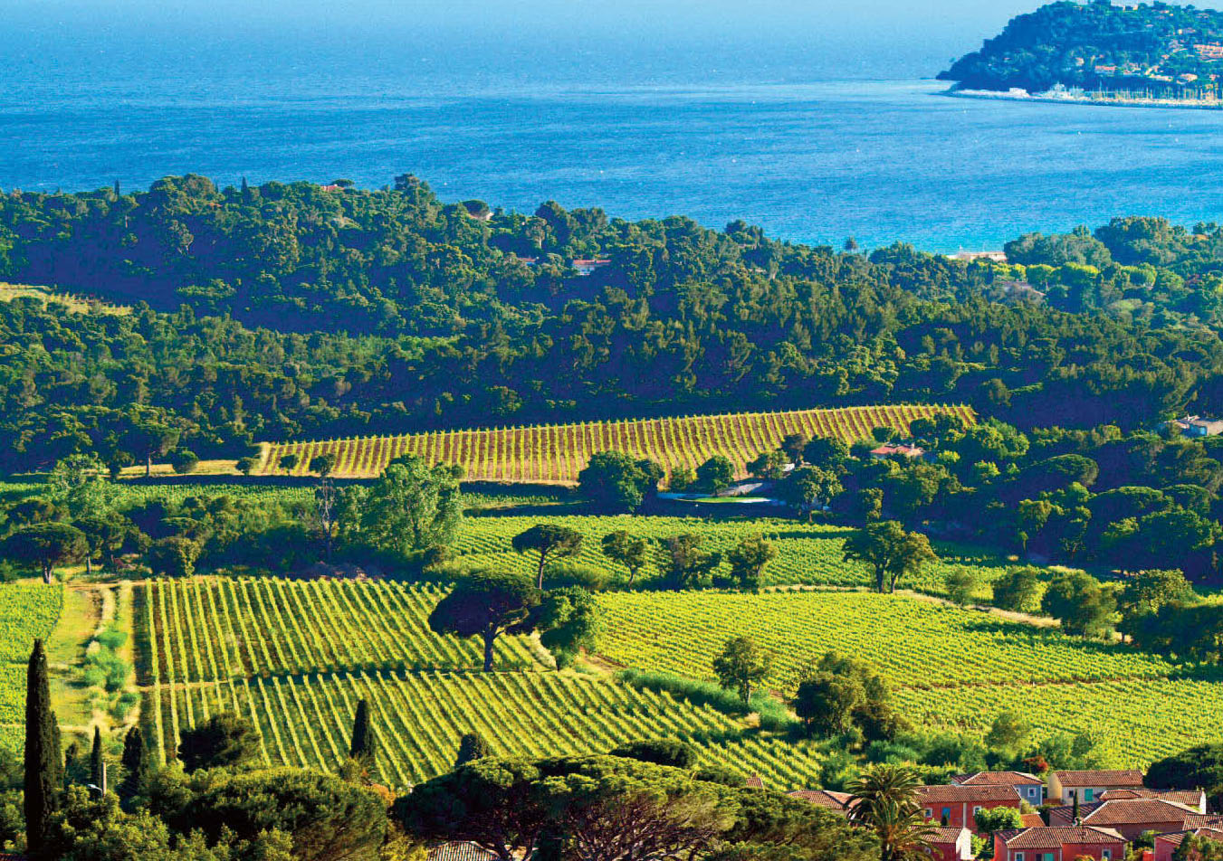 camping-cote-d-azur