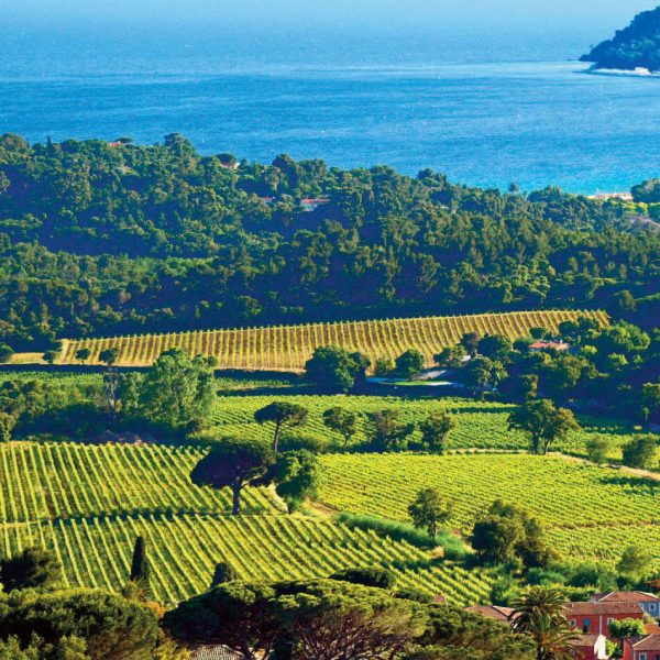 camping-cote-d-azur